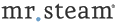 mr. steam® logo
